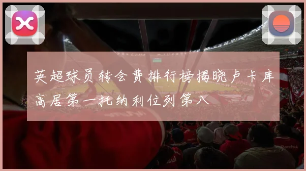 英超球员转会费排行榜揭晓卢卡库高居第一托纳利位列第八